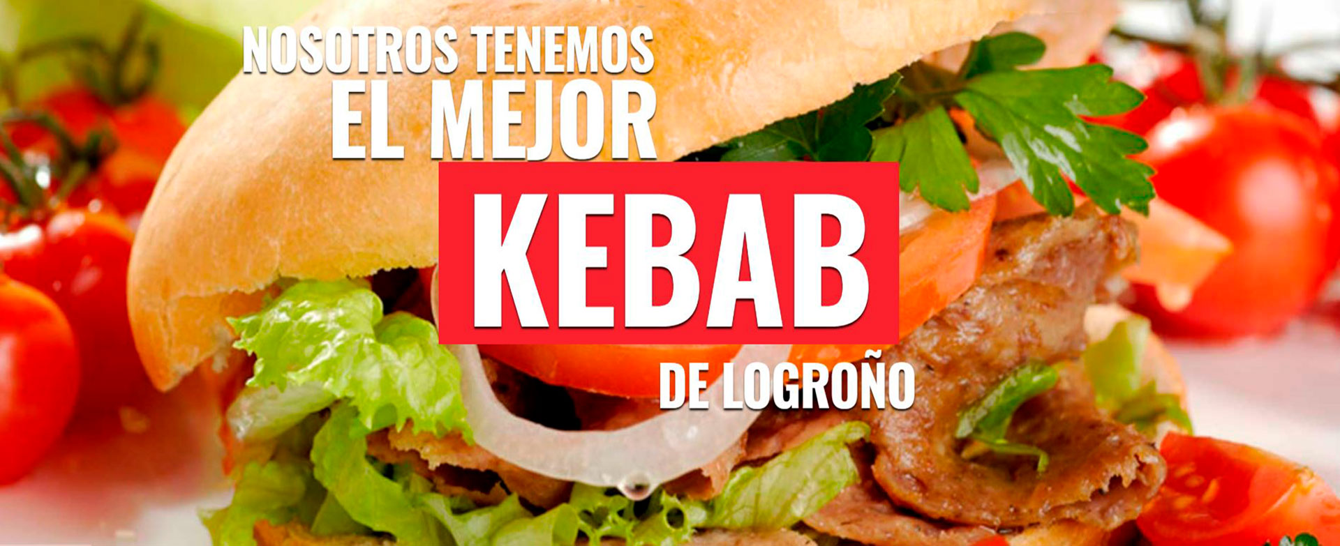 Kebab Logroño